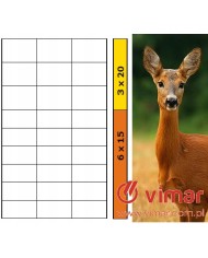 Siatka leśna ocynk 150/10/30 - 50mb | Wytrzymałość i jakość