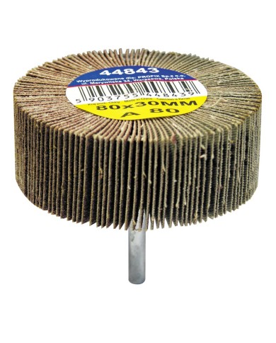 Ściernica listkowa trzpieniowa A100 60x30 mm PROLINE - Wysoka jakość