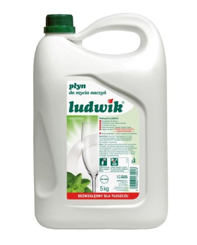 Płyn do mycia naczyń miętowy 5L LUDWIK - Skuteczna czystość! Płyn do mycia naczyń miętowy 5L LUDWIK - Skuteczna czystość!