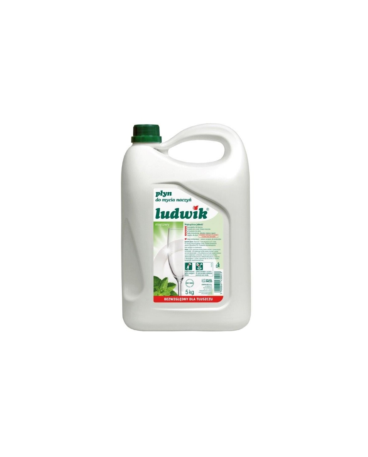 Płyn do mycia naczyń miętowy 5L LUDWIK - Skuteczna czystość!