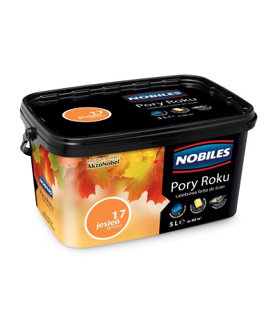 AKZO Pory Roku Jesień Dyniowa 5L - Farba do wnętrz 5127444