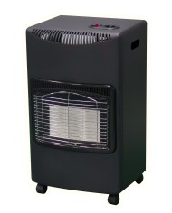 Nergis Piecyk gazowy 4,2 kW PRC LQ-H002 - Wydajność i Komfort Nergis Piecyk gazowy 4,2 kW PRC LQ-H002 - Wydajność i Komfort