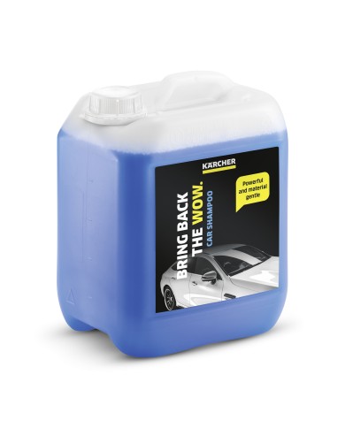 Karcher Szampon samochodowy 865 - Skuteczna pielęgnacja auta Karcher Szampon samochodowy 865 - Skuteczna pielęgnacja auta