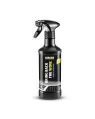 Karcher 3 w 1 do usuwania insektów 0,5l - Skuteczna ochrona! Karcher 3 w 1 do usuwania insektów 0,5l - Skuteczna ochrona!