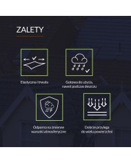 Masa asfaltowa Woda Stop czarna 1 kg - TYTAN PROFESSIONAL Masa asfaltowa Woda Stop czarna 1 kg - TYTAN PROFESSIONAL