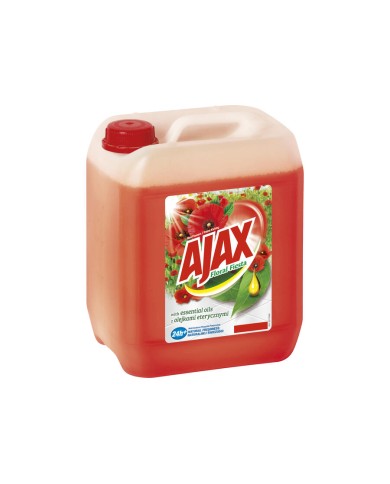 Płyn Floral Fiesta 5L AJAX - Uniwersalny Czerwony Środek Czystości Płyn Floral Fiesta 5L AJAX - Uniwersalny Czerwony Środek Czystości