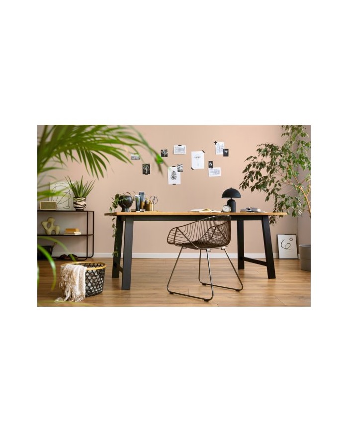 PPG MOC KOLORU Latte Macchiato 5L - Farba do wnętrz PPG MOC KOLORU Latte Macchiato 5L - Farba do wnętrz