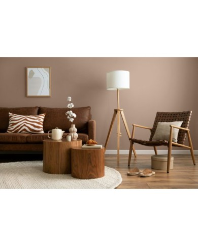 PPG MOC KOLORU Cafe Latte 5L - Farba do wnętrz w najlepszej cenie PPG MOC KOLORU Cafe Latte 5L - Farba do wnętrz w najlepszej cenie