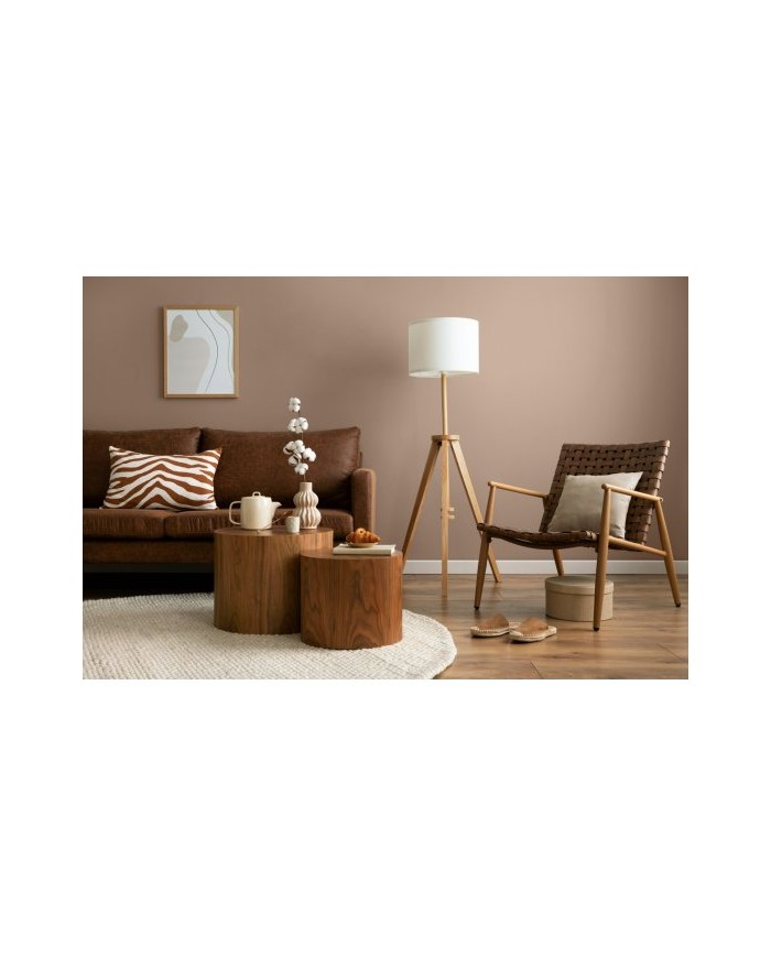 PPG MOC KOLORU Cafe Latte 5L - Farba do wnętrz w najlepszej cenie PPG MOC KOLORU Cafe Latte 5L - Farba do wnętrz w najlepszej cenie