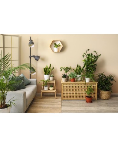 PPG MOC KOLORU Beżowy Jasny 5L - Farba do Wnętrz PPG MOC KOLORU Beżowy Jasny 5L - Farba do Wnętrz