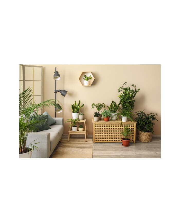 PPG MOC KOLORU Beżowy Jasny 5L - Farba do Wnętrz PPG MOC KOLORU Beżowy Jasny 5L - Farba do Wnętrz