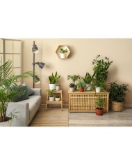 PPG MOC KOLORU Beżowy Jasny 5L - Farba do Wnętrz PPG MOC KOLORU Beżowy Jasny 5L - Farba do Wnętrz
