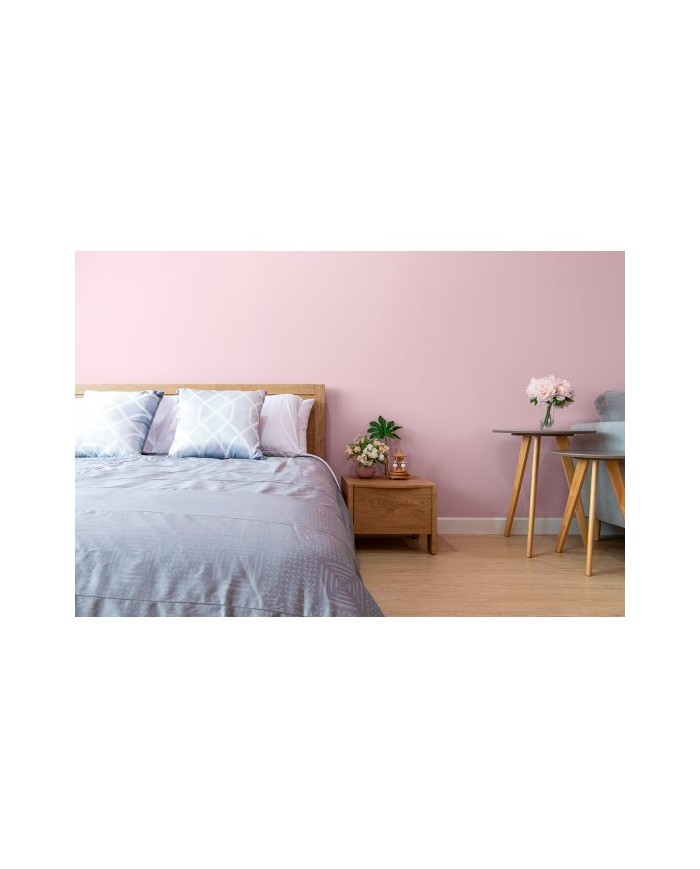 PPG MOC KOLORU - Bajkowy Róż 5L | Farba do wnętrz