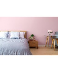 PPG MOC KOLORU - Bajkowy Róż 5L | Farba do wnętrz