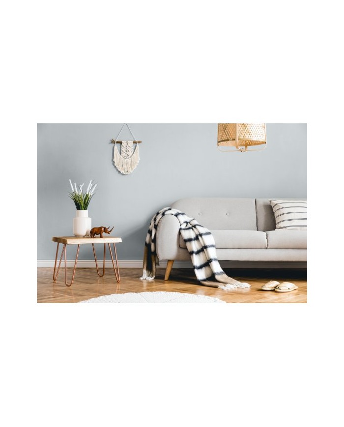 PPG MOC KOLORU szary platynowy 5L - Farba o wysokiej jakości