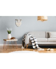 PPG MOC KOLORU szary platynowy 5L - Farba o wysokiej jakości