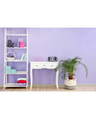 PPG MOC KOLORU Liliowe Zaurocz 5L - Intensywne Kolory PPG MOC KOLORU Liliowe Zaurocz 5L - Intensywne Kolory