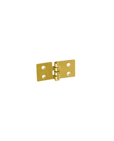 Zawias budowlany 50x25x1,5mm - Wytrzymałość i jakość Zawias budowlany 50x25x1,5mm - Wytrzymałość i jakość