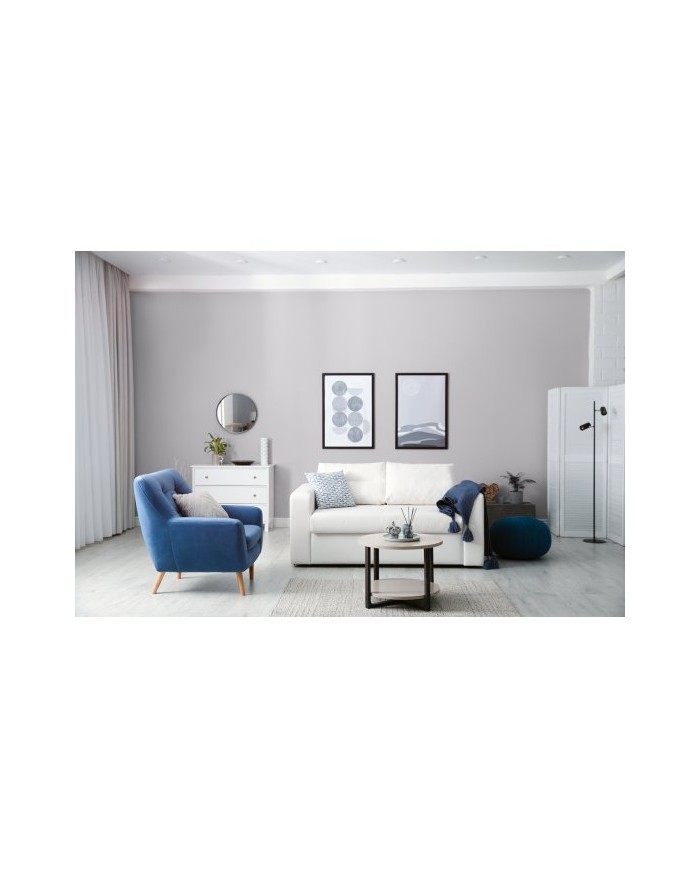 PPG MOC KOLORU Gołębi 2,5L - Farba o Wyjątkowej Jakości