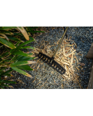 Grabie uniwersalne 12 zębów EXP STALCO GARDEN - Wysoka jakość!