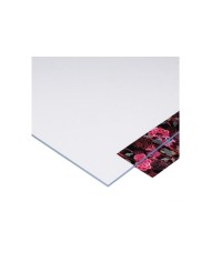 Plycina Gładka Przej. 50x150/2MM - Wysoka Jakość i Wytrzymałość