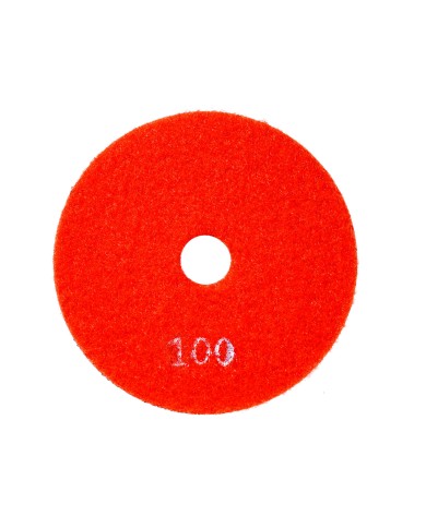 Diamentowy dysk szlifierski 100 mm na rzep - Gran 100 Diamentowy dysk szlifierski 100 mm na rzep - Gran 100