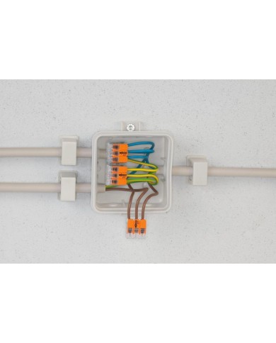 Zacisk instalacyjny Wago 5x0,2-4mm2 - Wysoka jakość i trwałość Zacisk instalacyjny Wago 5x0,2-4mm2 - Wysoka jakość i trwałość