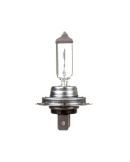 Żarówka samochodowa PX26d 12V H7 Standard N499 - Wysoka Jakość Żarówka samochodowa PX26d 12V H7 Standard N499 - Wysoka Jakość