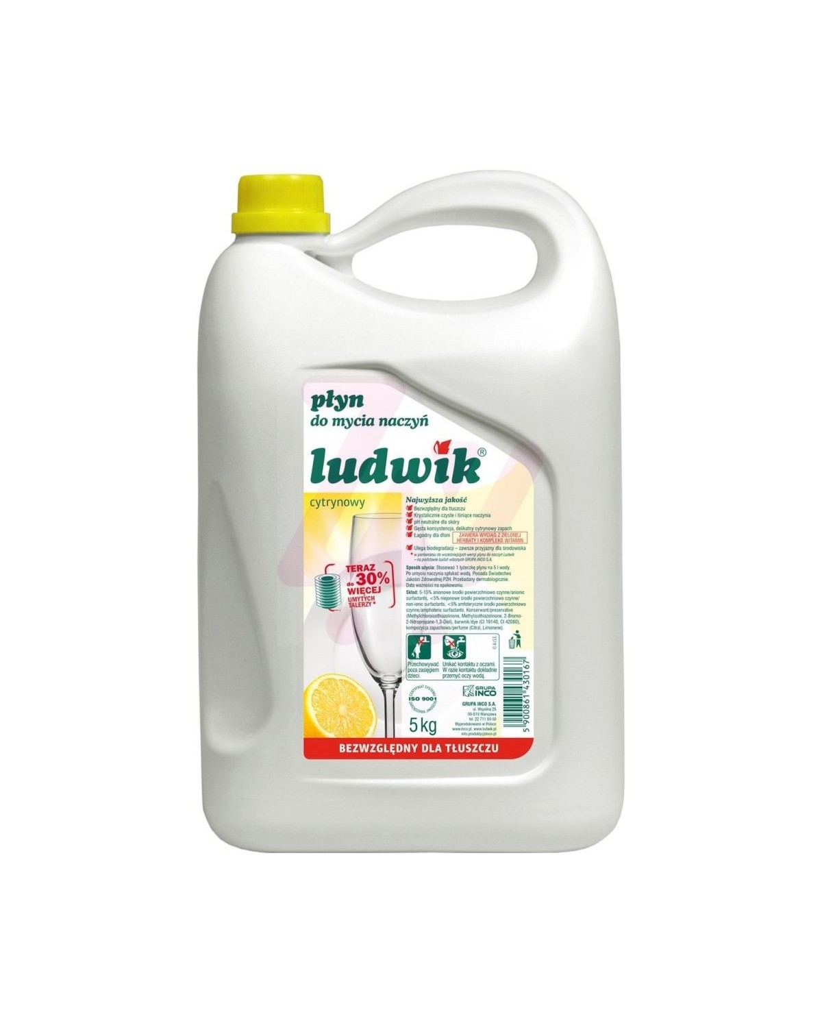 Płyn do mycia naczyń cytrynowy 5L LUDWIK - Skuteczna czystość!