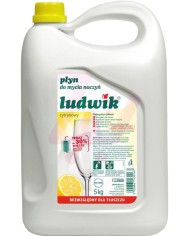 Płyn do mycia naczyń cytrynowy 5L LUDWIK - Skuteczna czystość!