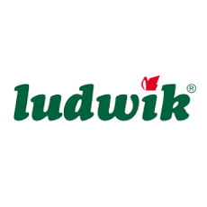 Ludwik