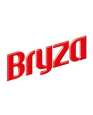 Bryza