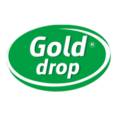 Gold Drop